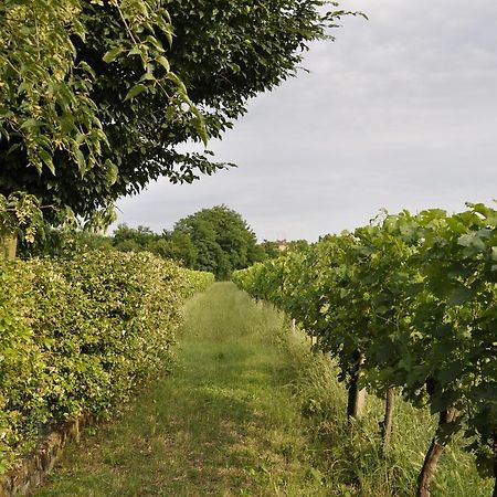 Willa Casa Griunit Capriva del Friuli Zewnętrze zdjęcie