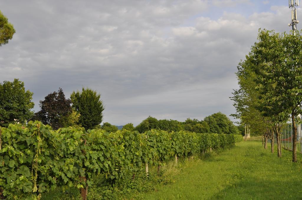 Willa Casa Griunit Capriva del Friuli Zewnętrze zdjęcie