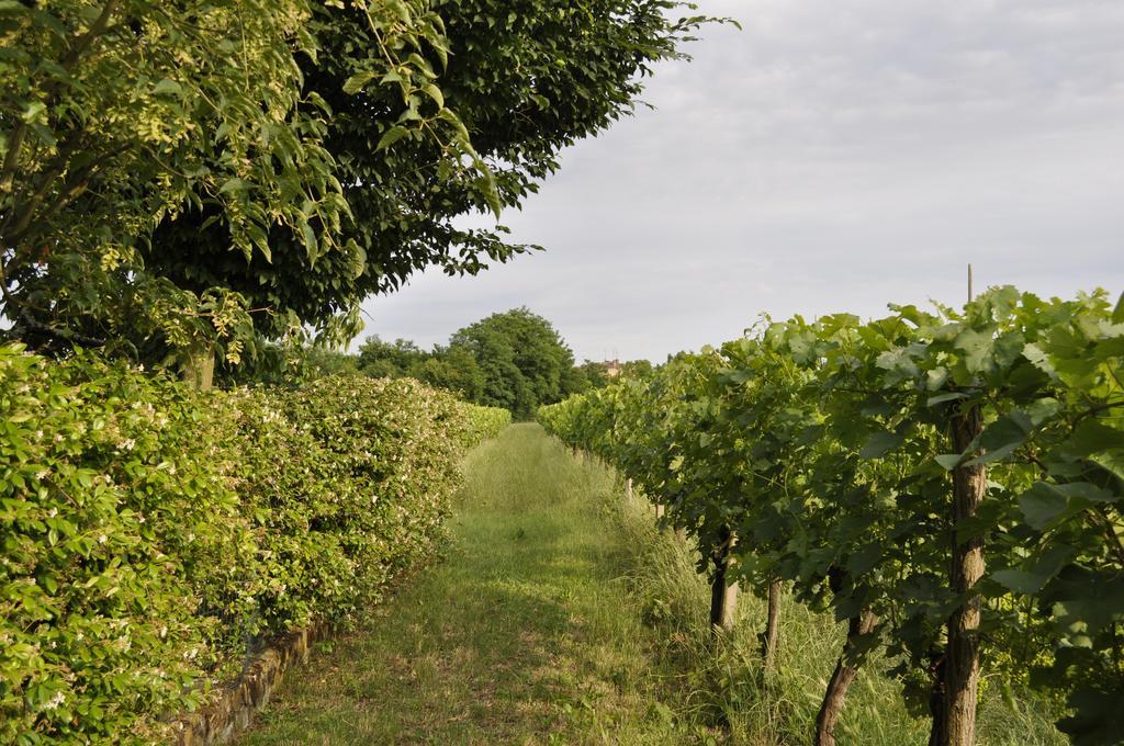 Willa Casa Griunit Capriva del Friuli Zewnętrze zdjęcie